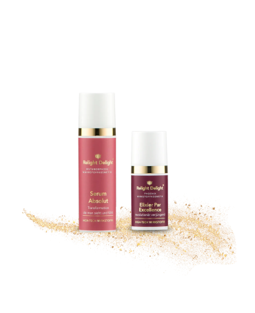 Weihnachts-Pflegeset - The Absolute Transformation